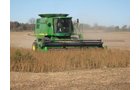 Property photo 15 - 110+/- Acres offered in 4 Tillable Tracts